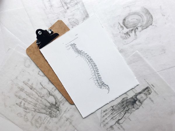 Ein Klemmbrett mit einer Skizze eines Wirbelsäulenskeletts liegt auf einem Hintergrund mit weiteren anatomischen Zeichnungen.